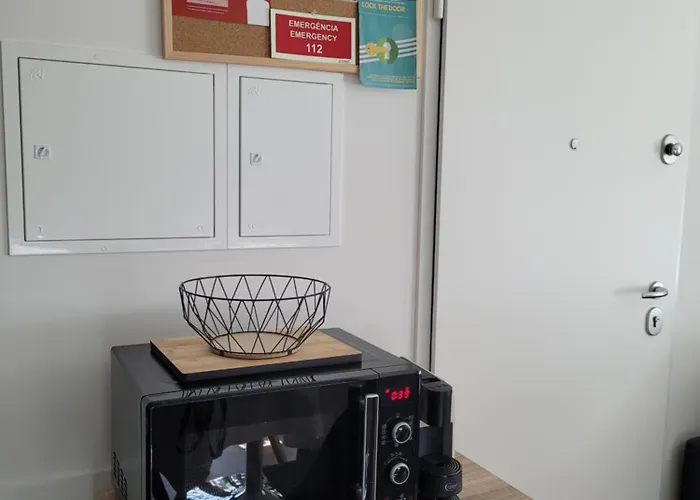 Moliceiro House Apartman *